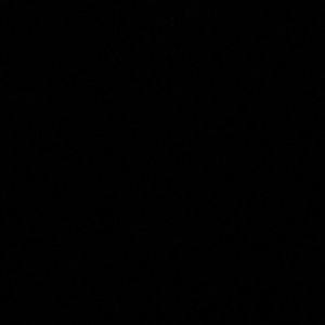 Meet your Posher, Allie